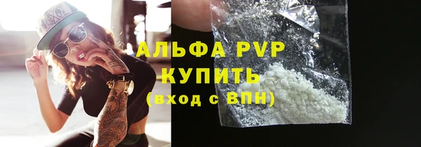 молекула духа Бородино