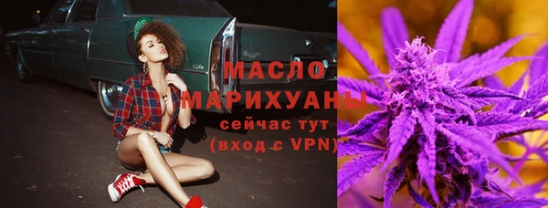 молекула духа Бородино