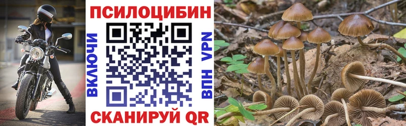 Галлюциногенные грибы ЛСД  Купить где  Рузаевка 